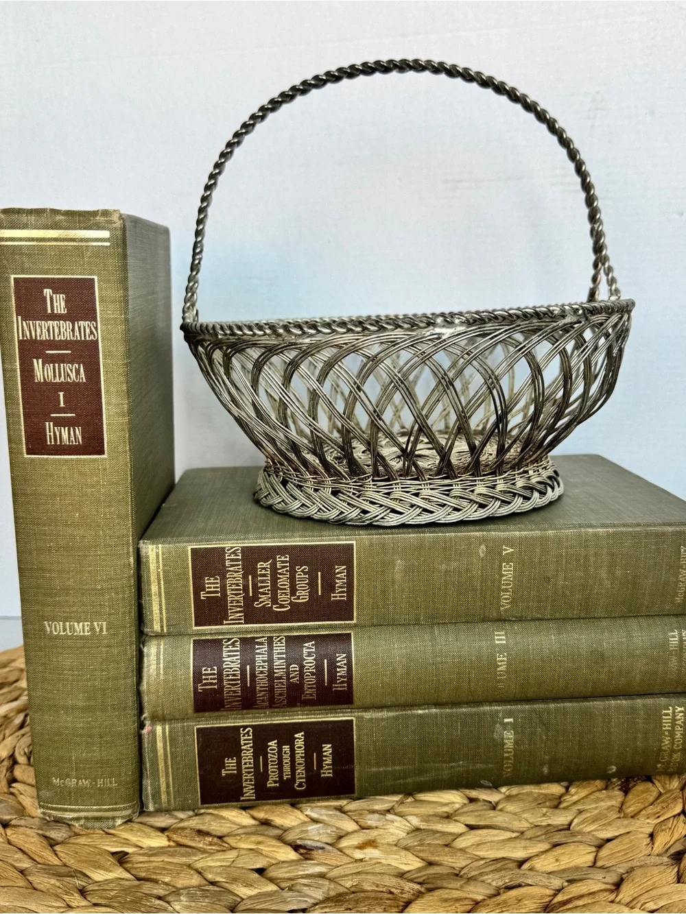 Vintage Silver Woven Wire Basket with Handle Decorative Home Accent